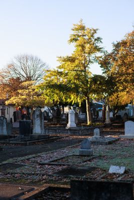 240510TceEndCemetery1790w.jpg