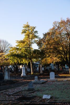 240510TceEndCemetery1791w.jpg