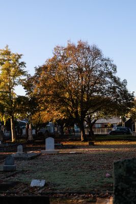 240510TceEndCemetery1792w.jpg