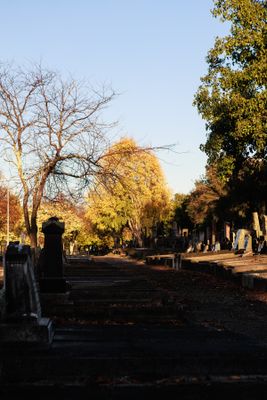 240510TceEndCemetery1795w.jpg