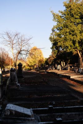 240510TceEndCemetery1797w.jpg