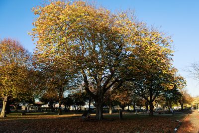 240510TceEndCemetery1799w.jpg