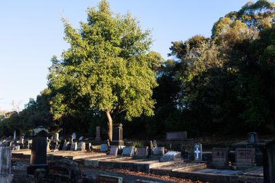 240510TceEndCemetery1802w.jpg