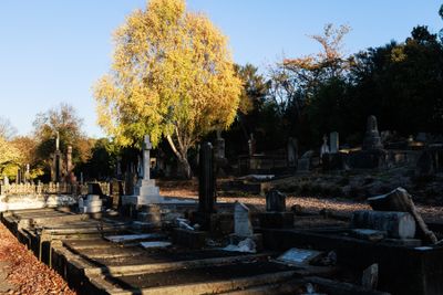 240510TceEndCemetery1807w.jpg