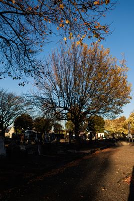 240510TceEndCemetery1812w.jpg