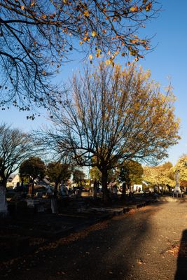 240510TceEndCemetery1813w.jpg