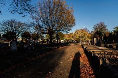 240510TceEndCemetery1814w.jpg