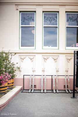 241114Napier2619-w.jpg