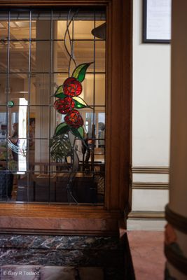 241114Napier2623-w.jpg