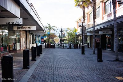 241116Napier2729-w.jpg
