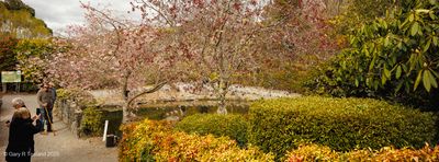 250921untitled6316-Ps-x.jpg