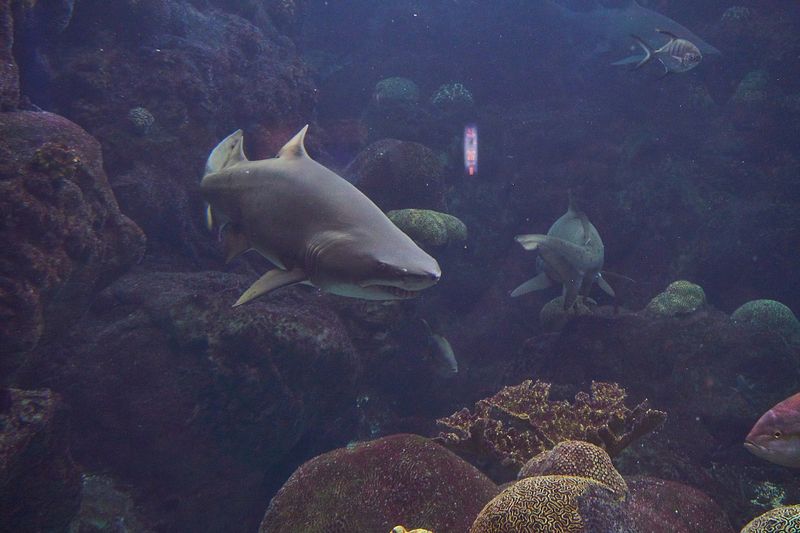 DSC02668 5.jpg