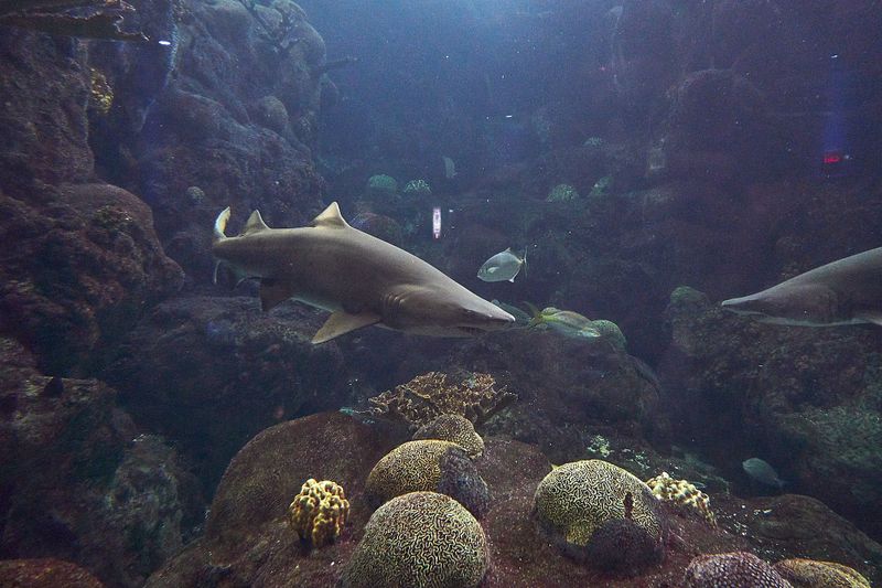 DSC02683 2.jpg