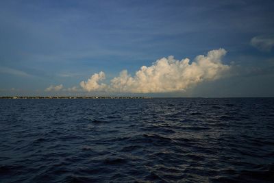 DSC02199.jpg