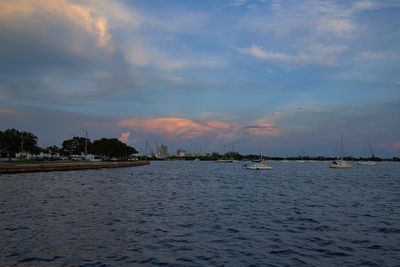 DSC02230.jpg