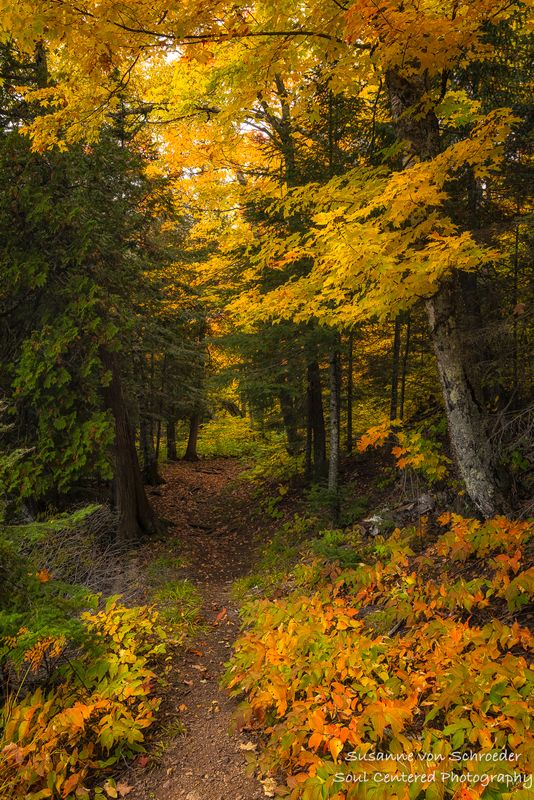 Hiking in Tettegouche State park, Minnesota 4