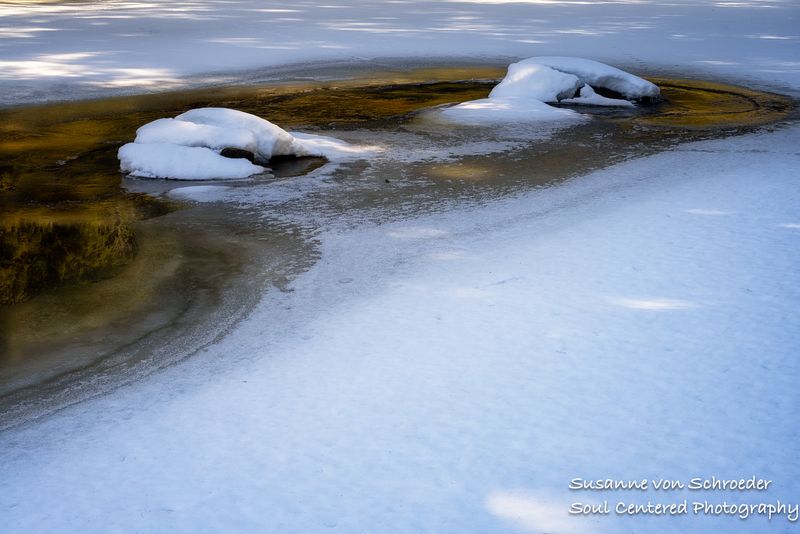 Flambeau River, early spring, close up 4