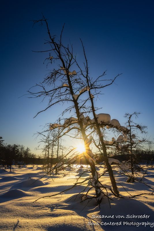 Sunset at Audie Lake