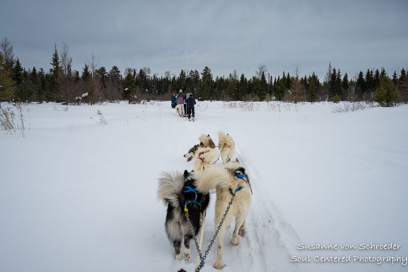 On the trail