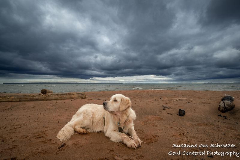 Lake Superior in November, Shanti
