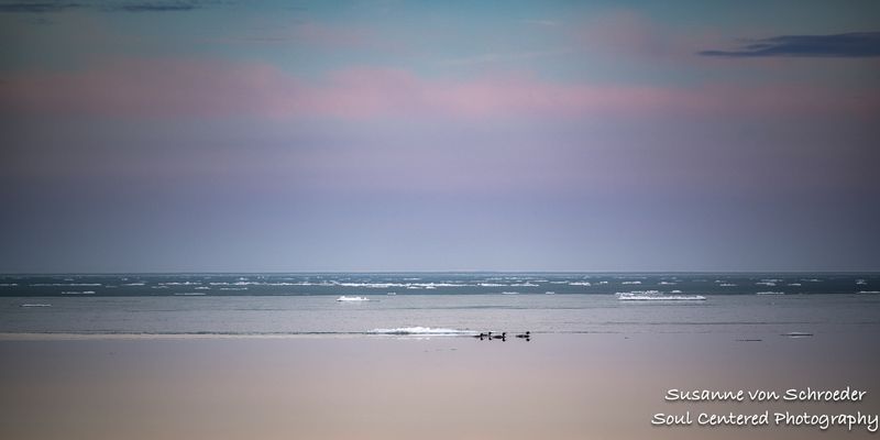 Serene Lake Superior with Mergansers 1