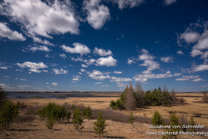 Early spring at Crex Meadows 3