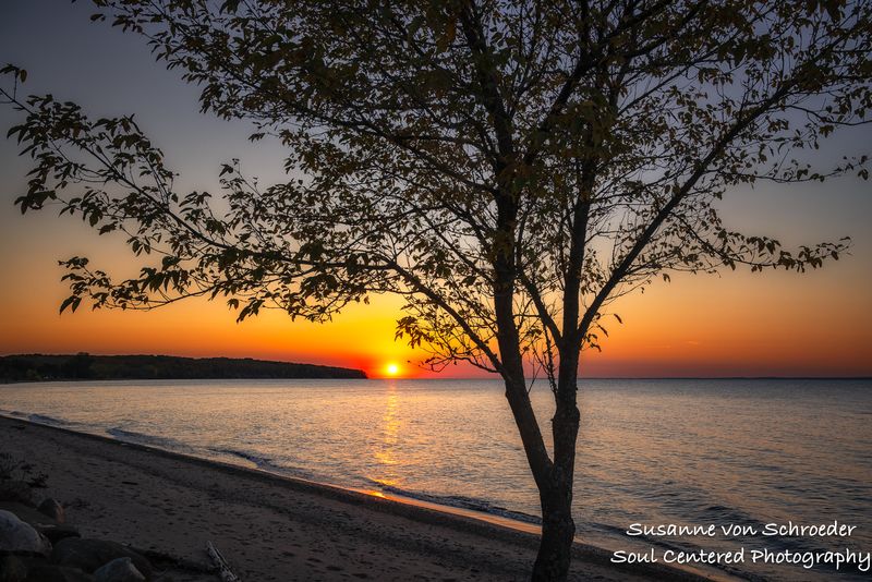 Sunset with tree, Herbster, Lake Superior