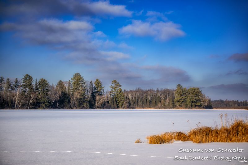 Winter landscape, Wisconsin