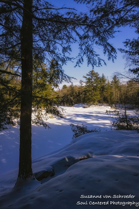 Frozen Flambeau river, WI