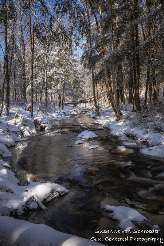 Early spring creek with snow 5