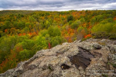 Juniper Rock, early fall colors 2