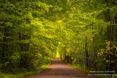 Driving through the North Woods, Lovers Lane 1