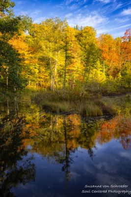 Fall colors at Perch Lake 2