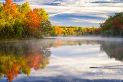 Fall colors at Perch Lake and beaver swimming