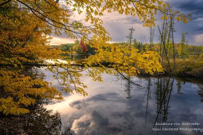 Peak fall colors at Audie Lake 1