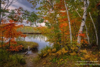 Peak fall colors at Audie Lake 2