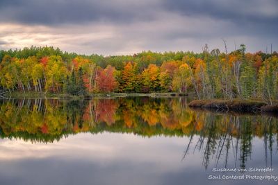 Peak fall colors at Audie Lake, bog reflections