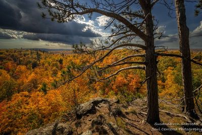 Tettegouche Lake overlook 2