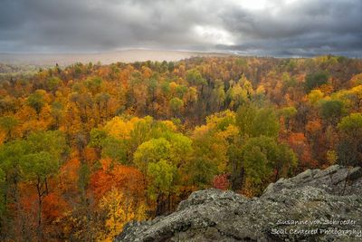 View from Juniper Rock 1