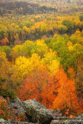 View from Juniper Rock 3