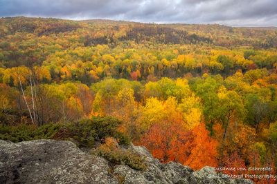 View from Juniper Rock 4