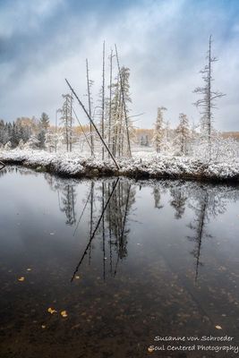First snow fall of the season, Audie Lake 1