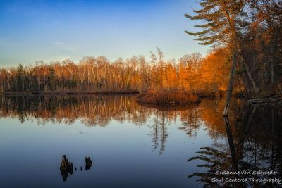 Late fall, evening light  at Audie Lake