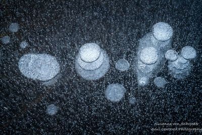 Bubbles in ice