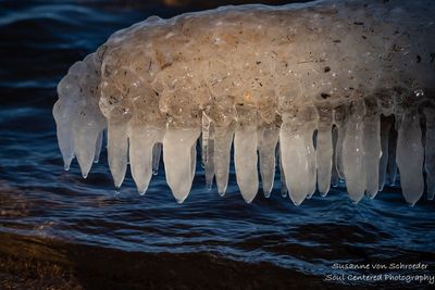 Early ice at Lake Superior's south shore 2