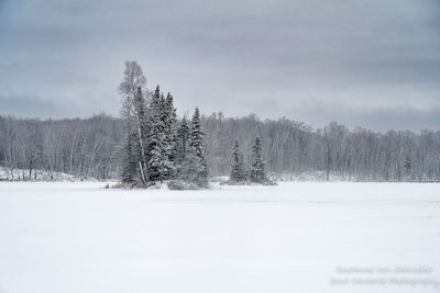 Snowy December day at Audie Lake 2