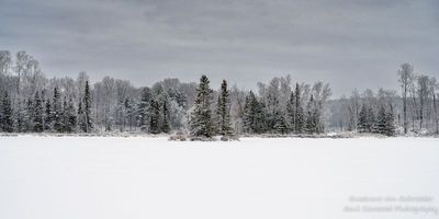 Snowy December day at Audie Lake 4