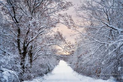 Winter road in evening light