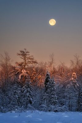 Setting full moon, January 23 1