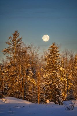 Setting full moon, January '23 4